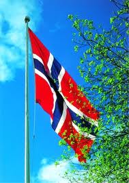 norsk flagg med bjrk